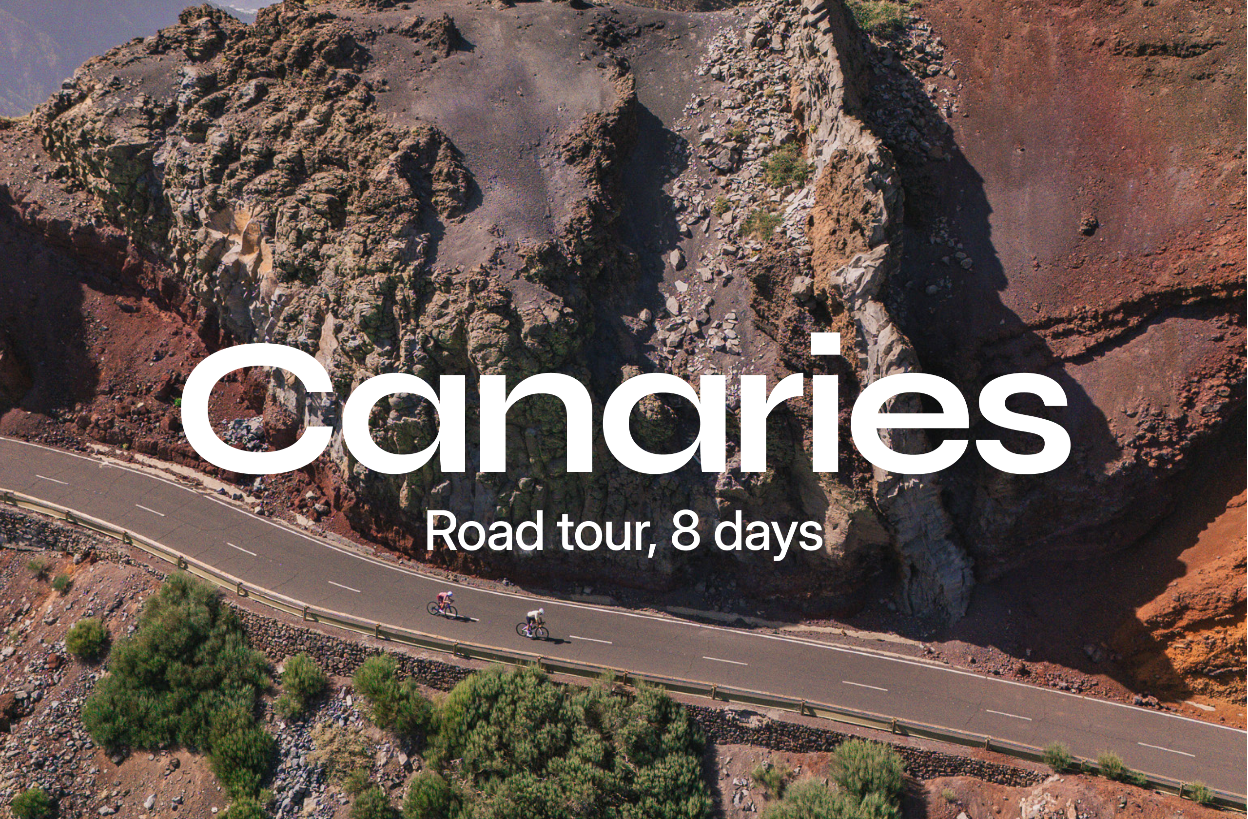 Canaries • Feb 20-28