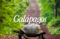 Galápagos • Oct 24–30
