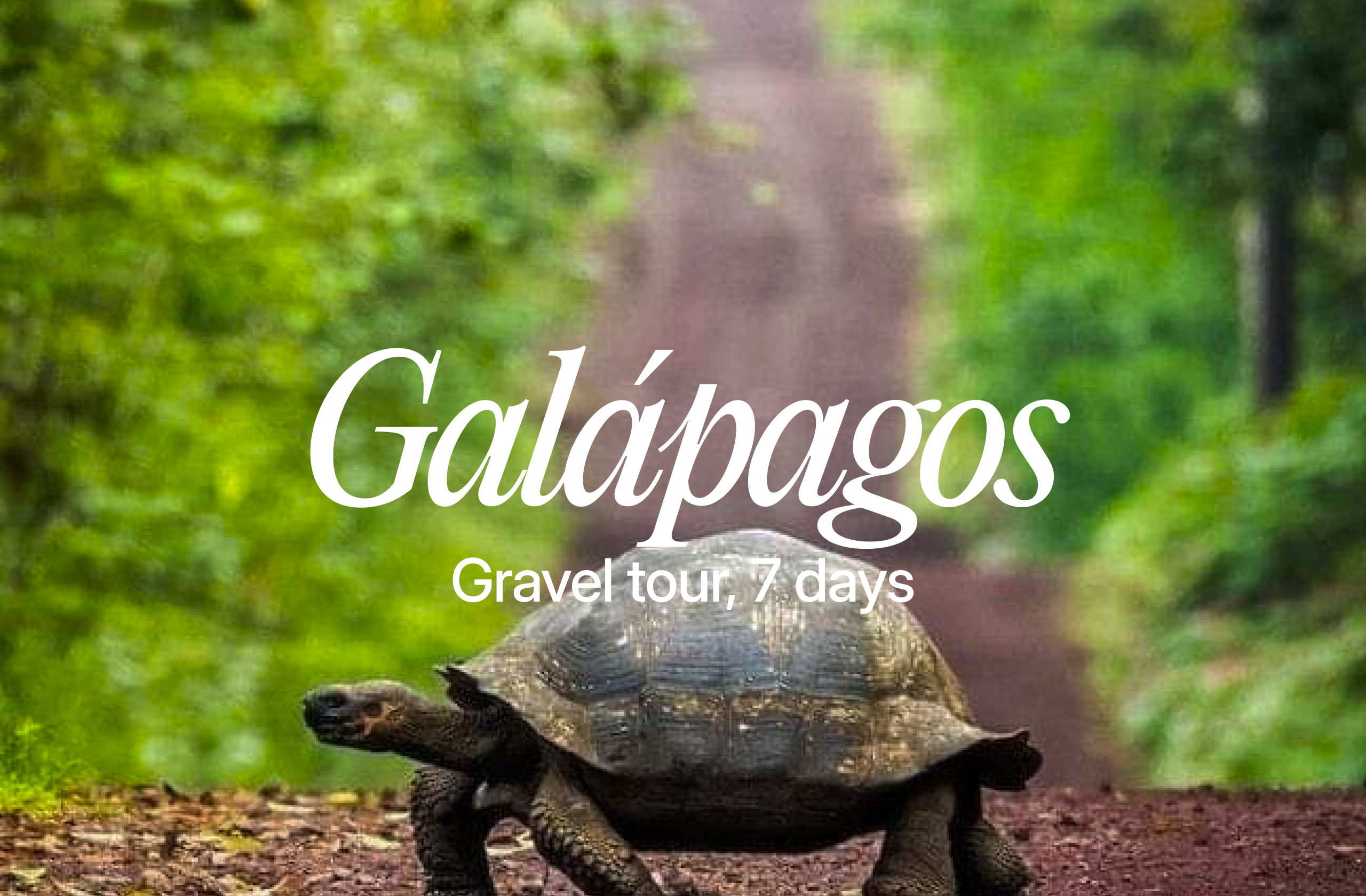 Galápagos • Oct 24–30