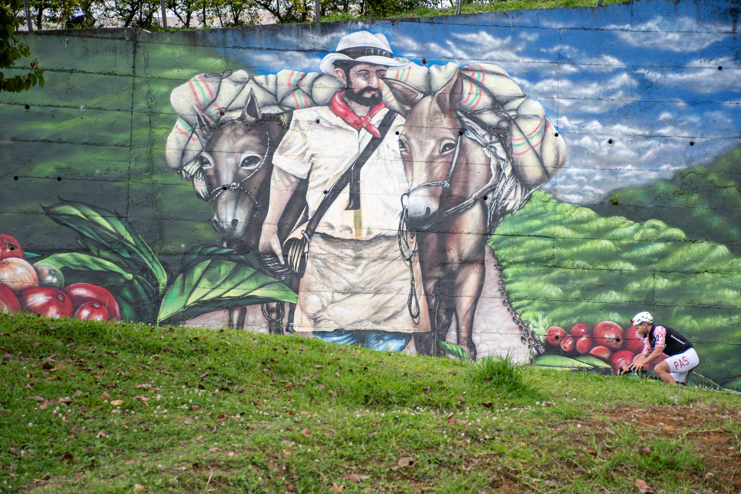 Copia de @FotógrafoAltodeLetras 12349 - VSM_6251